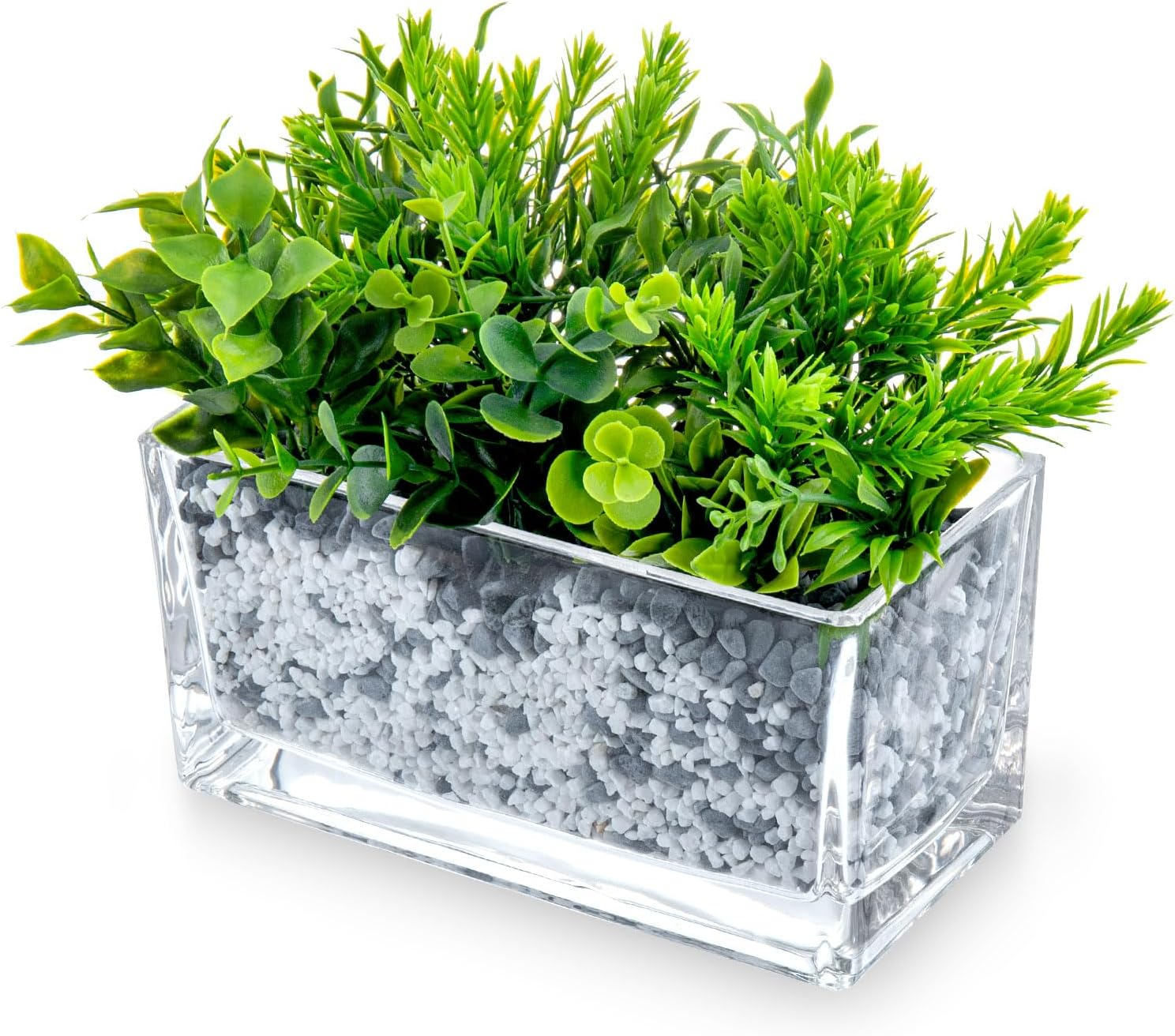 Glass Trough Planter