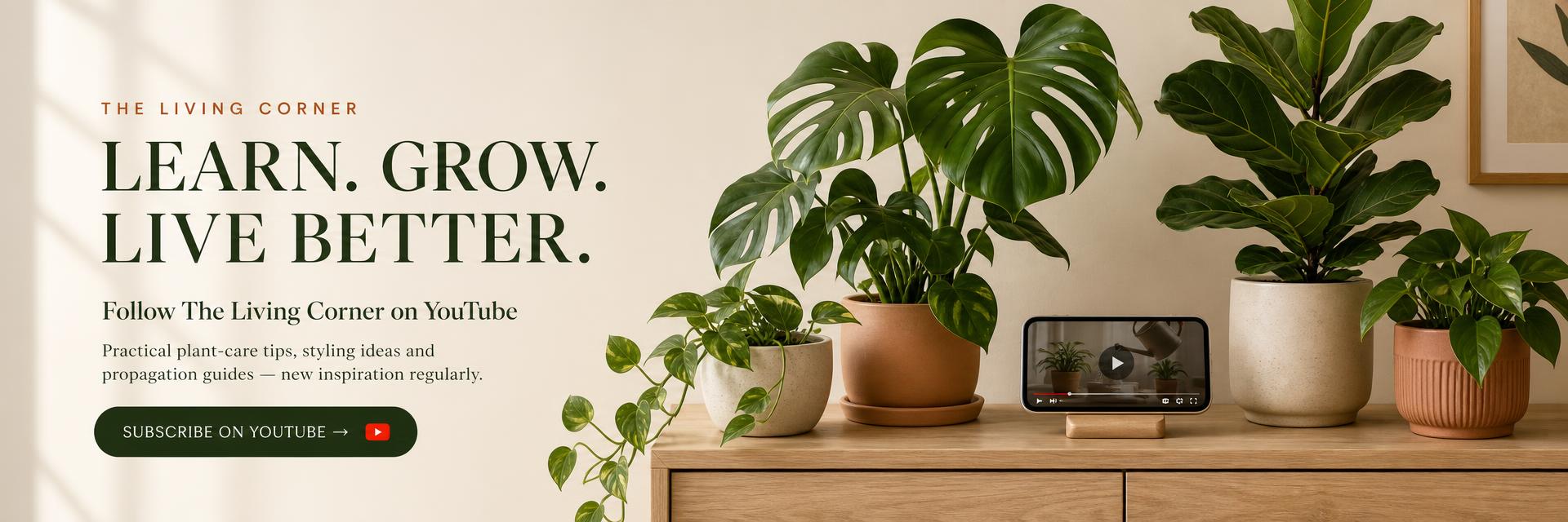 Learn. Grow. Live Better. Follow The Living Corner on YouTube — practical plant-care tips, styling ideas and propagation guides.